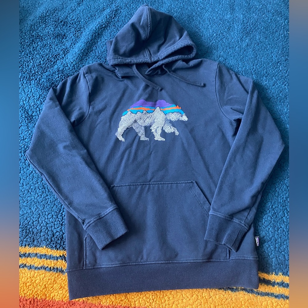 Patagonia fitz roy bear hoodie
